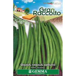 Gemma Bush blue lake 274 σποροι φασολια φακελα τσαουλι ανευρο νανο blanca xxl