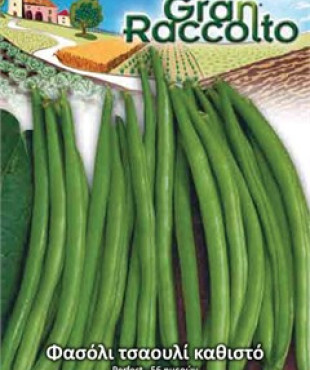 Gemma Bush blue lake 274 σποροι φασολια φακελα τσαουλι ανευρο νανο blanca xxl