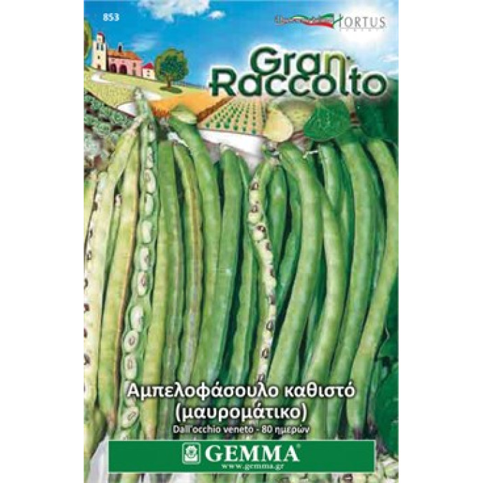 Gemma Σποροι φασολια φακελα αμπελοφασουλο νανο dallocchio xxl