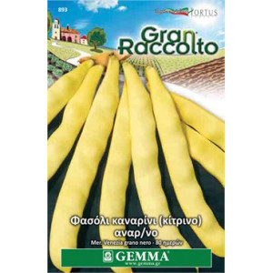 Gemma Σποροι φασολια φακελα καναρινι (κιτρινο) αναρ/νο meraviglia xxl