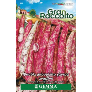 Gemma Σποροι φασολια φακελα μπουρλοτο χαντρα αναρ/νο focus xxl
