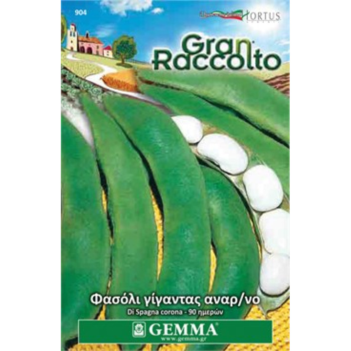 Gemma Σποροι φασολια φακελα γιγαντες rampicante di spagna corona xxl