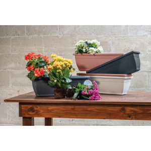 Vasar Πιατο venere isbl 47