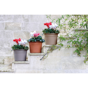 Vasar Πιατακι diana ιsci 35 