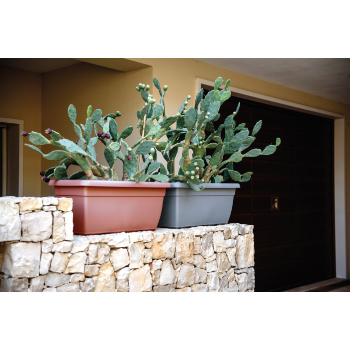 Vasar Πιατο giunone isct 92