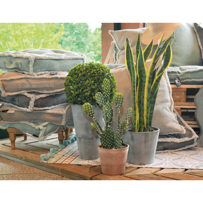 Vasar Πιατο nova vita leonardo 75 