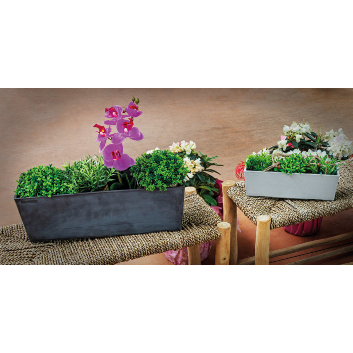 Vasar Πιατο nova vita 50