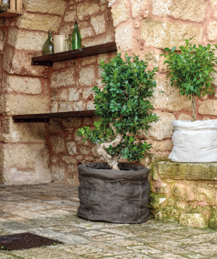 Sacco σακος για φυλλα 47 44 lt