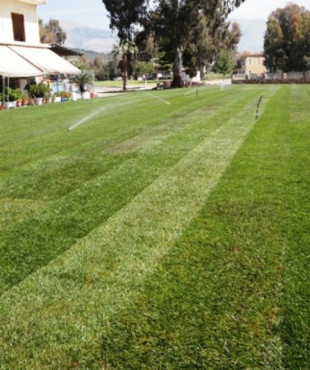 Φυσικός χλοοτάπητας άρης hellasod