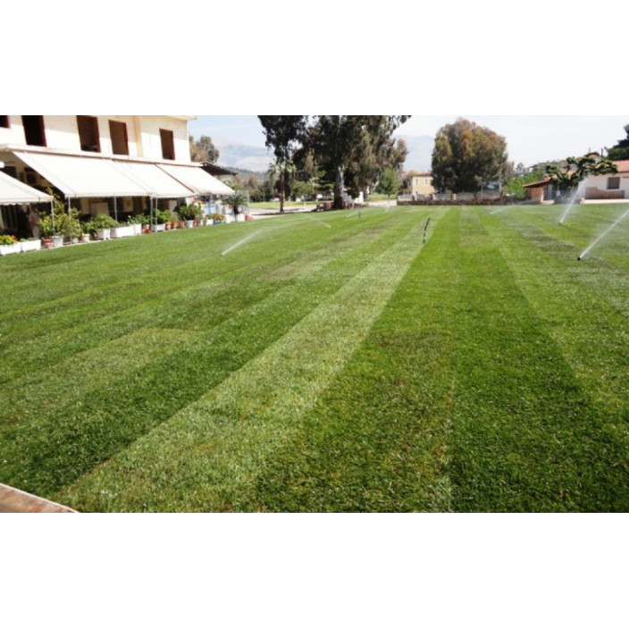 Φυσικός χλοοτάπητας άρης hellasod