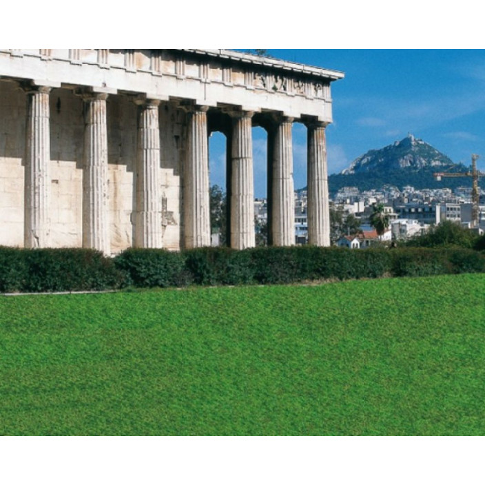 Φυσικός χλοοτάπητας αθήνα hellasod