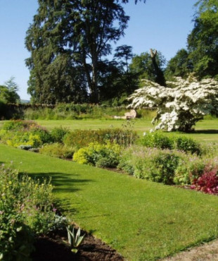 Φυσικός χλοοτάπητας δίας της hellasod