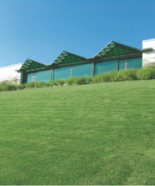 Φυσικός χλοοτάπητας ηρακλής hellasod