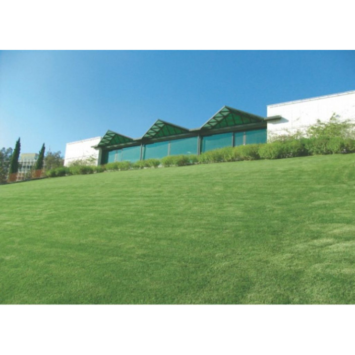 Φυσικός χλοοτάπητας ηρακλής hellasod