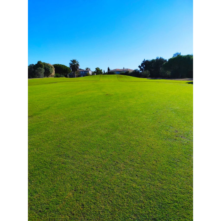 Φυσικός χλοοτάπητας tahoma 31 της hellasod