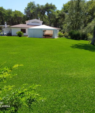 Φυσικός χλοοτάπητας green velvet της hellasod