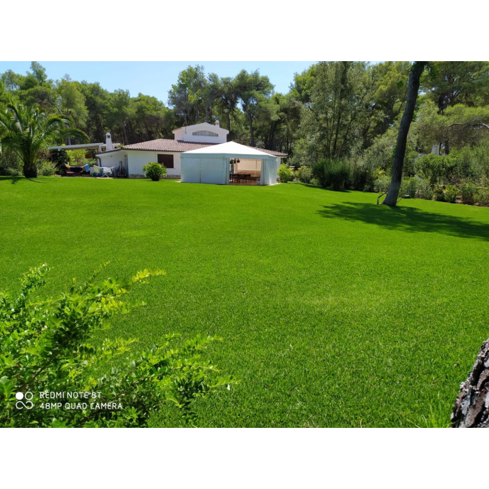 Φυσικός χλοοτάπητας green velvet της hellasod