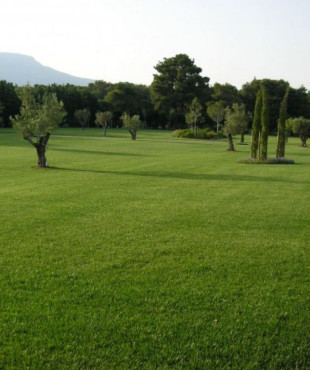 Φυσικός χλοοτάπητας zoro hellasod