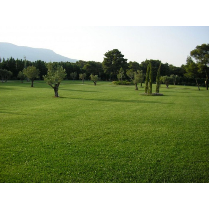 Φυσικός χλοοτάπητας zoro hellasod