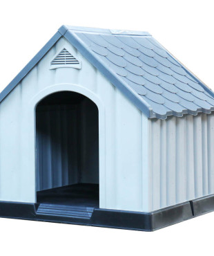 ΣΠΙΤΙ ΣΚΥΛΟΥ