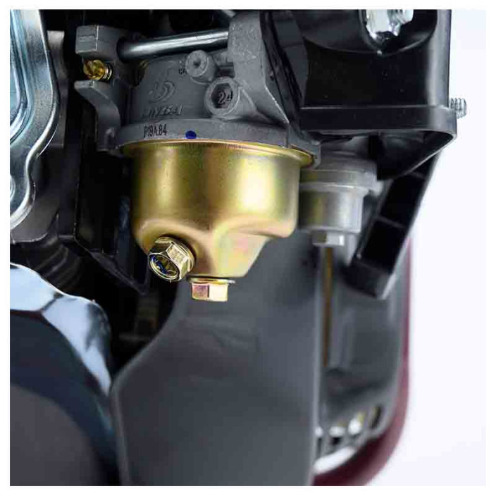 ΨΕΚΑΣΤΙΚΟ ΒΕΝΖΙΝΗΣ 6,5HP