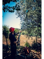 ΚΟΝΤΑΡΟΠΡΙΟΝΟ ΜΠΑΤΑΡΙΑΣ 20V