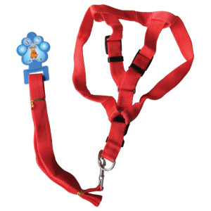Leash-harness for medium dog