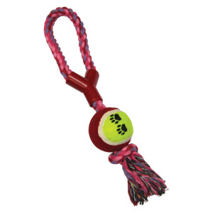 Dog ball game with rope
