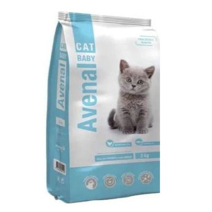 Avenal cat kitten 2kg